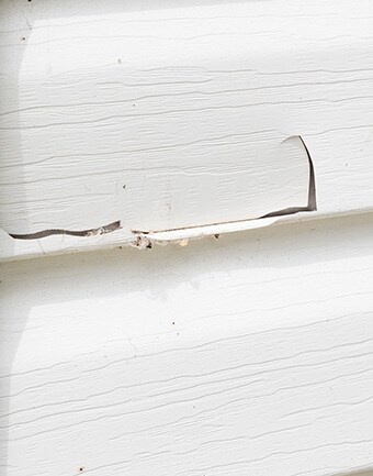 inspecting siding panels