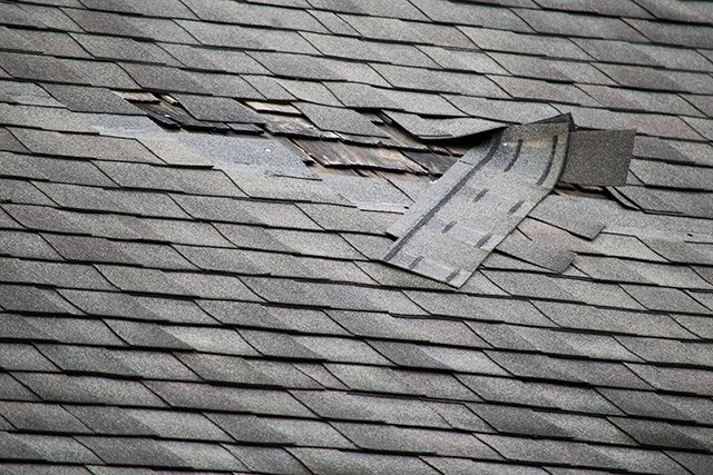 poor roof maintenance causing roof damage in euclid