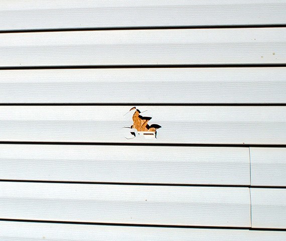 siding repair services in euclid oh