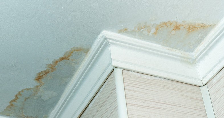 cost of roof leak repair